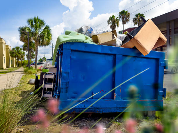 Yard Cleanup Services in Aurora, CO